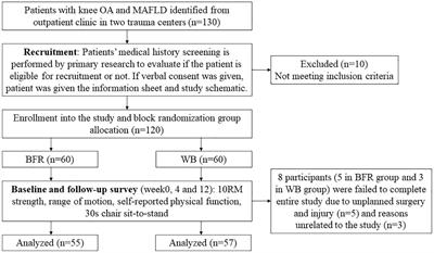 Effectiveness of blood flow restriction versus traditional weight-bearing training in rehabilitation of knee osteoarthritis patients with MASLD: a multicenter randomized controlled trial